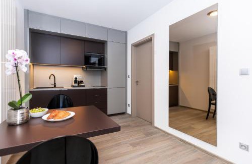 Hradec Kralove Apartment | Hotel Awam