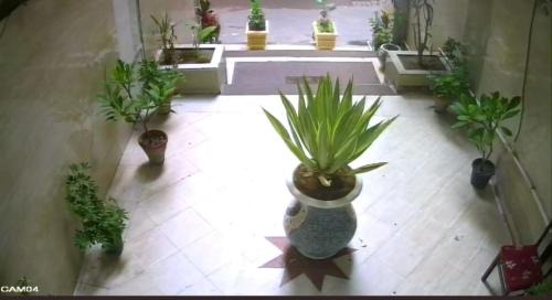 Iking Maryut House | HOTEL CAMBCHIZAR ALEXANDRIa