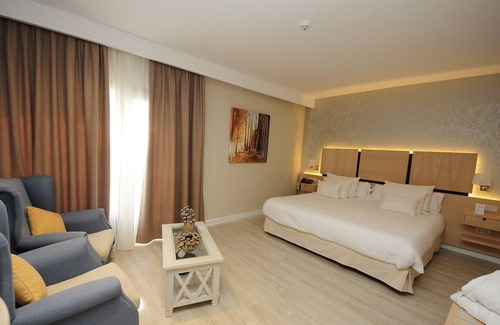 Alcazar de San Juan Hotel | Hotel Château Viñasoro