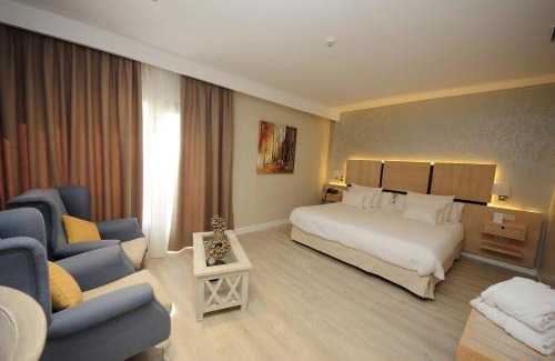 Alcazar de San Juan Hotel | Hotel Château Viñasoro