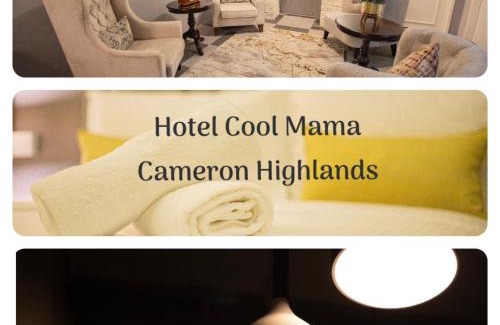 Brinchang Hotel | Hotel COOL MAMA
