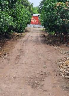 Junnar Hotel | Hotel Ekant tourist resort aka Ekaant Farms