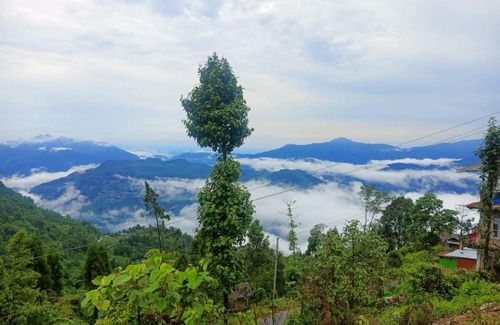 Dhanaulti Hotel | Hotel Himalaya view & restaurant