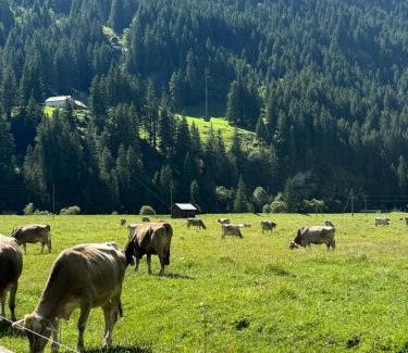 Urnerboden Hotel | Hotel Klausen Treff