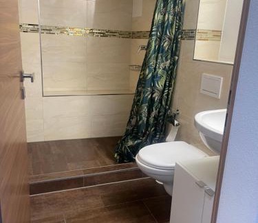 Wassen Apartment | Hotel Krone