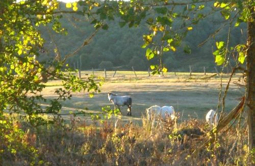 Quintanaentello Hotel | Hotel La Pradera de Marta