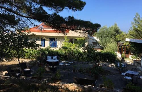 Tremiti Islands Hotel | Hotel Le Viole