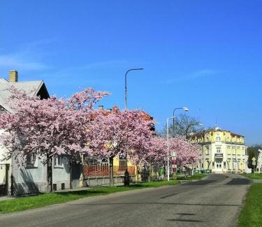 Sadska Hotel | Hotel Modrá hvězda Sadská