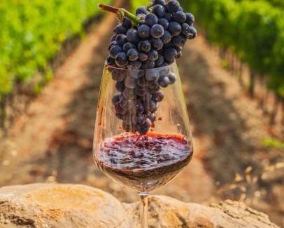 Znojmo Hotel | Hotel N