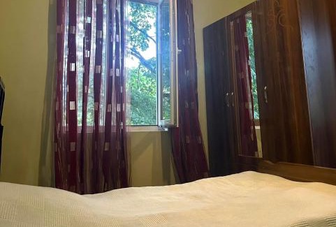 Ambrolauri Apartment | Hotel nikortsminda Georgia