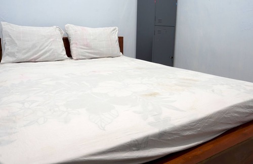 Sumberagung Hotel | Hotel O Coconut Island Homestay & ResortNearPantai Pulau Merah