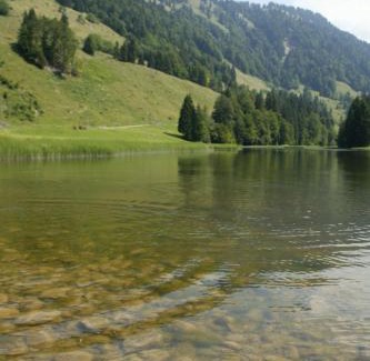 Hittisau House | Hotel OXA - Easy Escape