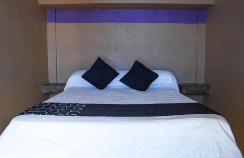 Monterrey Hotel | Hotel Platino