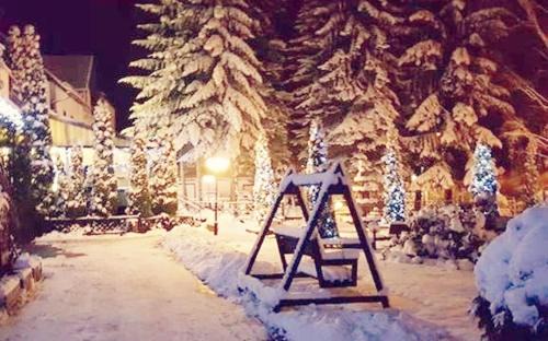 Swieradow-Zdroj Hotel | Hotel Pod Jeleniem