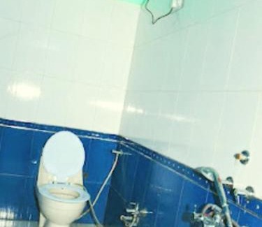 Dhanaulti Hotel | Hotel Royal Star