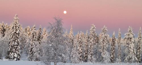 Salla Hotel | Hotel Sallavalkea entinen Takka-Valkea