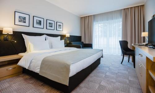 Lancut Hotel | Hotel Sokół Wellness & SPA