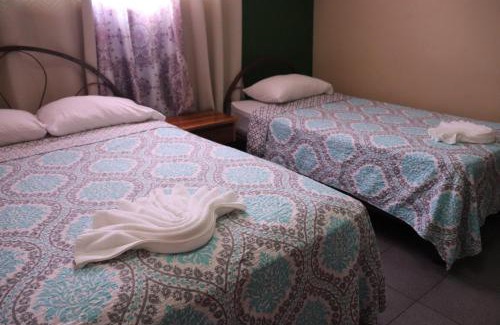 David Hotel | Hotel Toledo