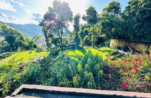 Pokhara Hotel | Hotel Tourist Residency And Homeland Forest Villa