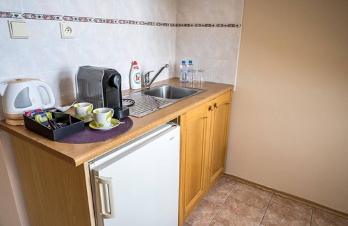 Zdar Nad Sazavou Hotel | Hotel U Labutě