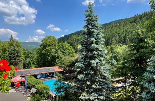 Horni Lomna Hotel | Hotel U STUDÁNKY