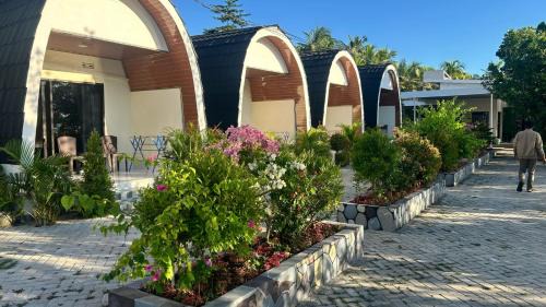 Sumbawa Hotel | Hotel Villa Beach Transit 2 & Whaleshark Tour