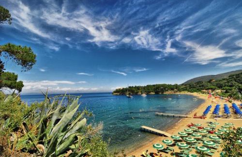 Naregno Hotel | Hotel Villa Rodriguez