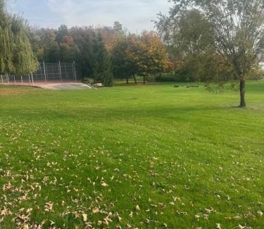 Lasin Hotel | Hotelik nad jeziorem w Łasinie