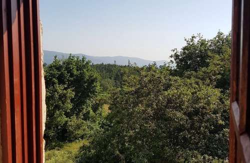 Macieira de Cambra Cottage | House of Grandmother Clara - Houses of Grandmothers