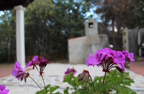 Cala Liberotto Apartment | House of strawberry trees a stone's throw from the beautiful sea in Calaliberotto