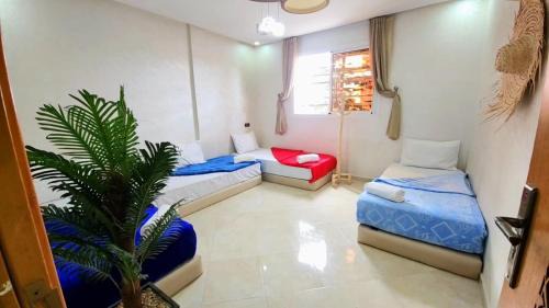 Imsouane Apartment | House Viola