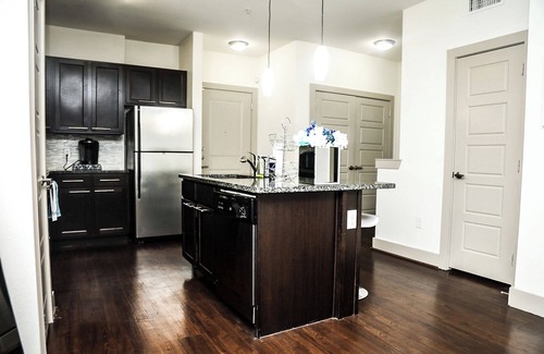 Washington Ave./ Memorial Park Apartment | Houston Gem Walk To Dine & Shop