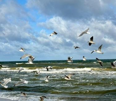 Pobierowo House | HUS - caloroczne komfortowe szeregi blisko plazy