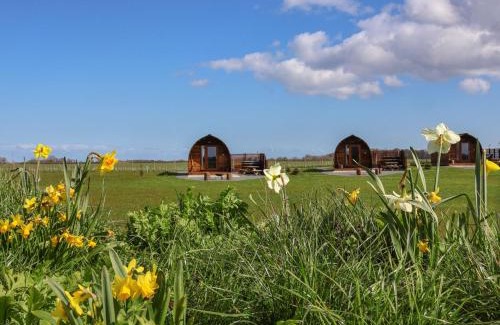 Driffield House | Husk
