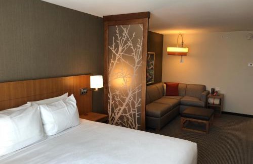 St. George Hotel | Hyatt Place St George/Convention Center