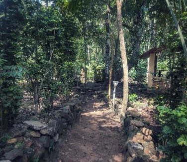 Ponmundi Villa | IDAM Homestay Ponmudi