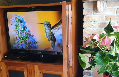 Lekeitio Apartment | Ideal for Couples on the coast.