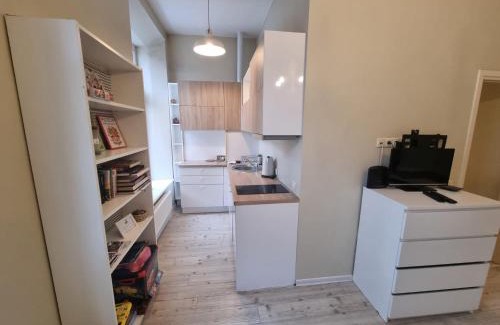 Uzupis Apartment | Igo apartment Uzupis