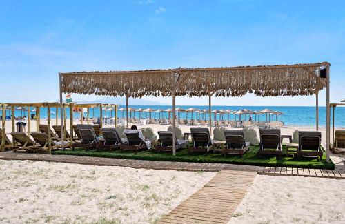 Pidima Kyras Apartment | Iguana studio 8