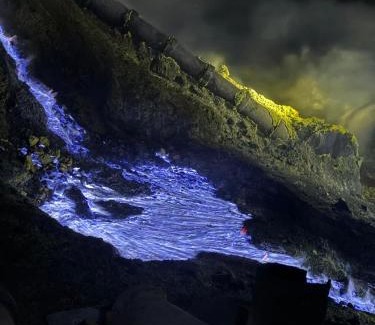 Kalipuro House | Ijen Transito 2 homestay