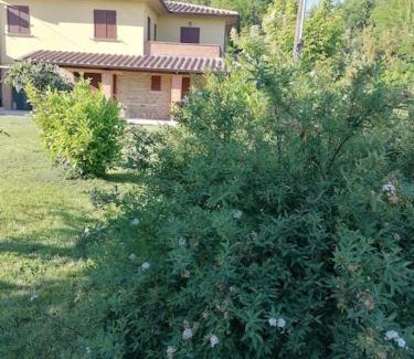 Civitella in Val di Chiana Apartment | il boschetto da Tiziana