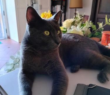 Pisa House | Il Cielo di Lucio