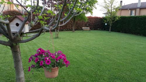 Giarre Bed & Breakfast | Il Farfasole