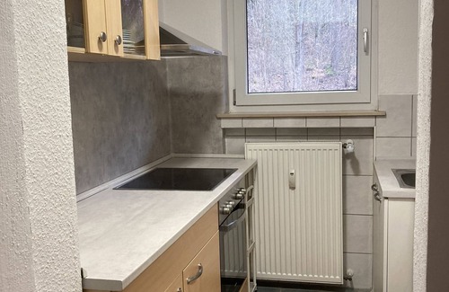 Ziebach Apartment | Immensee IV cozy small Apartment with common area with fireplace