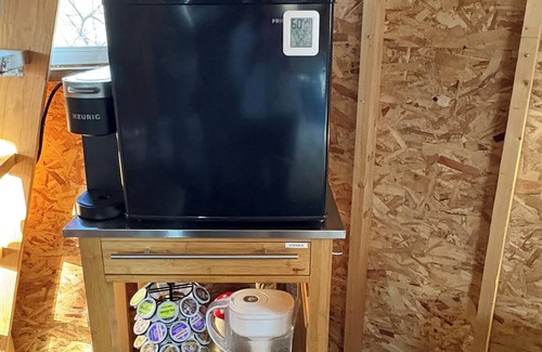 Brooklyn Cabin | Immerse yourself with nature at this unique living tree-treehouse!