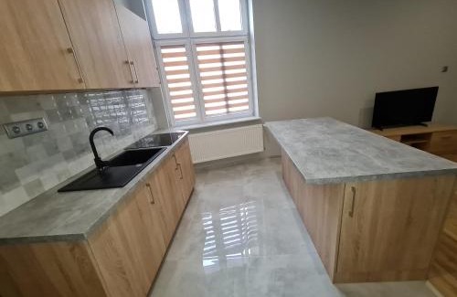 Ostrow Wielkopolski Apartment | Ines Apartament