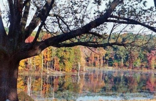 Pomfret Bed & Breakfast | Inn at Fox Hill Farm