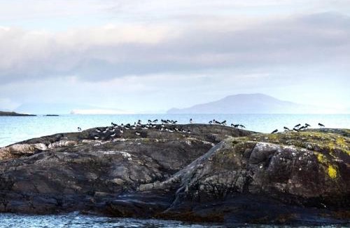 Renvyle House | Islands View Lodge