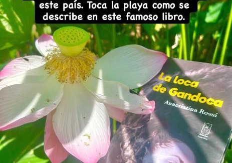 Chiguata Hotel | Ita Ita Casitas Playa Punta Uva