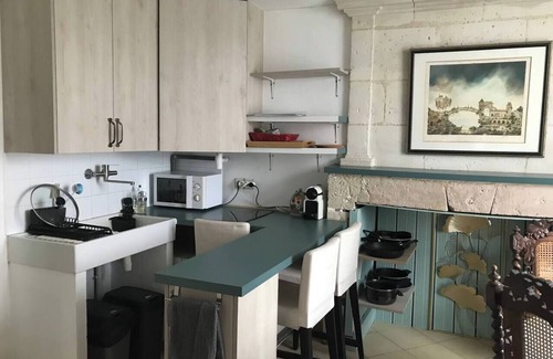 La Chapelle-sur-Loire Apartment | Jacuzzi Vue sur Loire - Gite des Sorciers Japonais